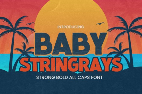 Baby Stringrays Font Review: Trendy Display Type for Bold Branding