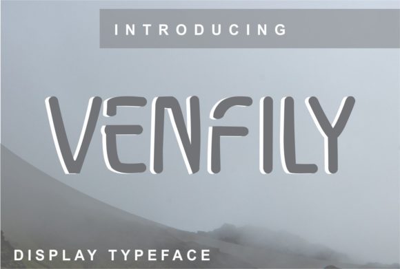 Boost Your Campaign with the Venfily Display Font