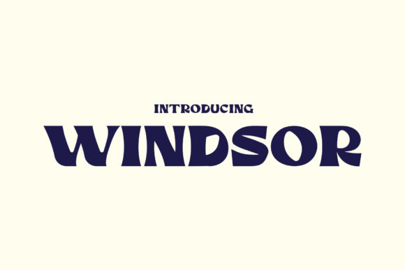 Windsor Font for Web Design Projects